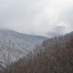 k-DSC_0011